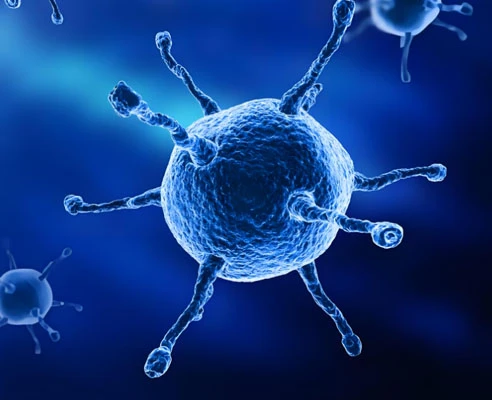 5-Amino-1MQ Peptide uses | Kpeptide 5-Amino-1MQ Peptide uses | Kpeptide
