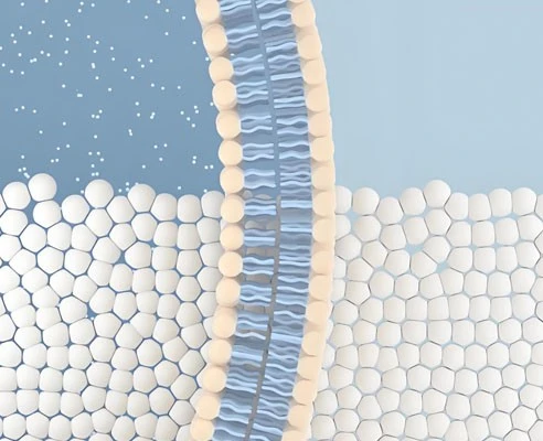 5-Amino-1MQ Peptide purcase | Kpeptide 5-Amino-1MQ Peptide purcase | Kpeptide