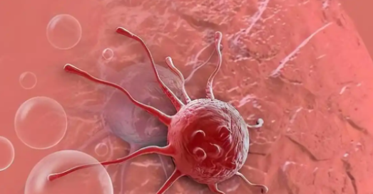 SLU-PP-332 uses | Shaanxi BLOOM Tech Co., Ltd SLU-PP-332 uses | Shaanxi BLOOM Tech Co., Ltd