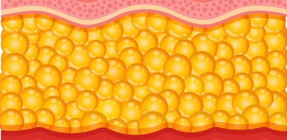 Bioglutide NA-931 FAT | Shaanxi BLOOM Tech Co., Ltd Bioglutide NA-931 FAT | Shaanxi BLOOM Tech Co., Ltd