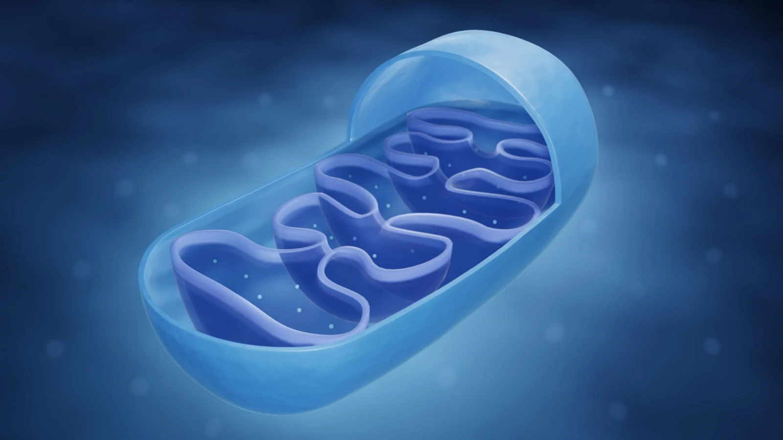 Bioglutide NA-931 Mitochondria | Shaanxi BLOOM Tech Co., Ltd Bioglutide NA-931 Mitochondria | Shaanxi BLOOM Tech Co., Ltd