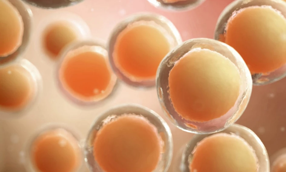 Bioglutide NA-931 Adipose tissue | Shaanxi BLOOM Tech Co., Ltd Bioglutide NA-931 Adipose tissue | Shaanxi BLOOM Tech Co., Ltd