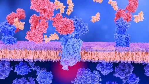 Bioglutide NA-931 GLP-1R | Shaanxi BLOOM Tech Co., Ltd Bioglutide NA-931 GLP-1R | Shaanxi BLOOM Tech Co., Ltd