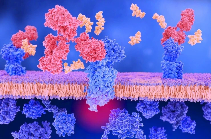 Bioglutide NA-931 GLP-1R | Shaanxi BLOOM Tech Co., Ltd Bioglutide NA-931 GLP-1R | Shaanxi BLOOM Tech Co., Ltd