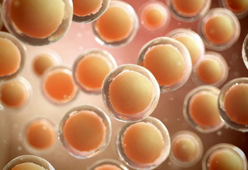 Bioglutide NA-931 Adipose tissue | Shaanxi BLOOM Tech Co., Ltd Bioglutide NA-931 Adipose tissue | Shaanxi BLOOM Tech Co., Ltd