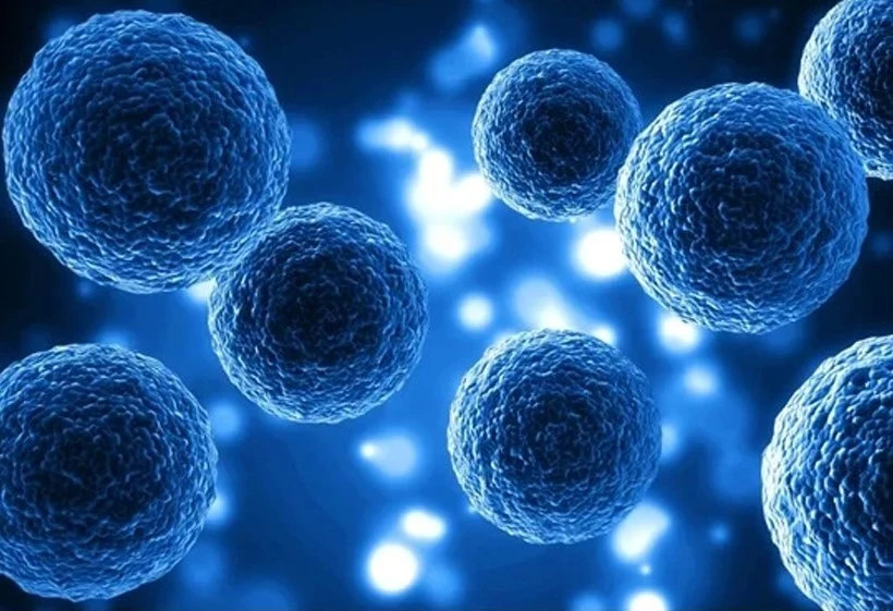 Bioglutide NA-931 cell | Shaanxi BLOOM Tech Co., Ltd Bioglutide NA-931 cell | Shaanxi BLOOM Tech Co., Ltd