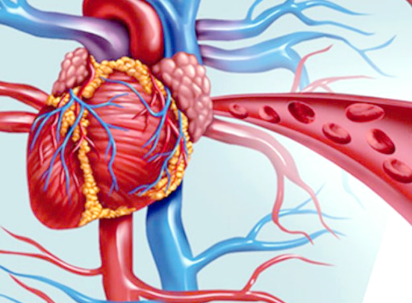Tirzepatide Buy | Shaanxi BLOOM Tech Co., Ltd Tirzepatide Buy | Shaanxi BLOOM Tech Co., Ltd