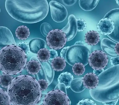 Artesunate expression | Shaanxi BLOOM Tech Co., Ltd Artesunate expression | Shaanxi BLOOM Tech Co., Ltd