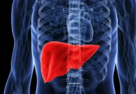 Artesunate fibrosis | Shaanxi BLOOM Tech Co., Ltd Artesunate fibrosis | Shaanxi BLOOM Tech Co., Ltd