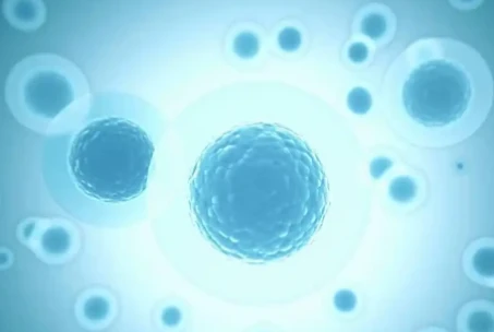 Artesunate cellular stress | Shaanxi BLOOM Tech Co., Ltd Artesunate cellular stress | Shaanxi BLOOM Tech Co., Ltd