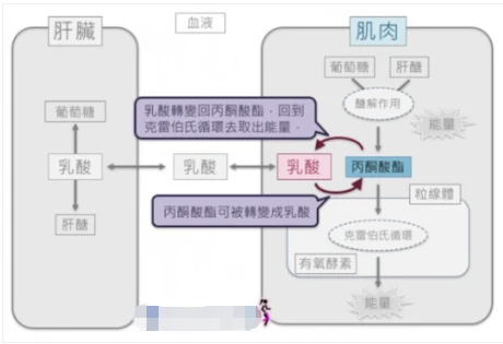 Guar Gum Providing | Shaanxi BLOOM Tech Co., Ltd Guar Gum Providing | Shaanxi BLOOM Tech Co., Ltd
